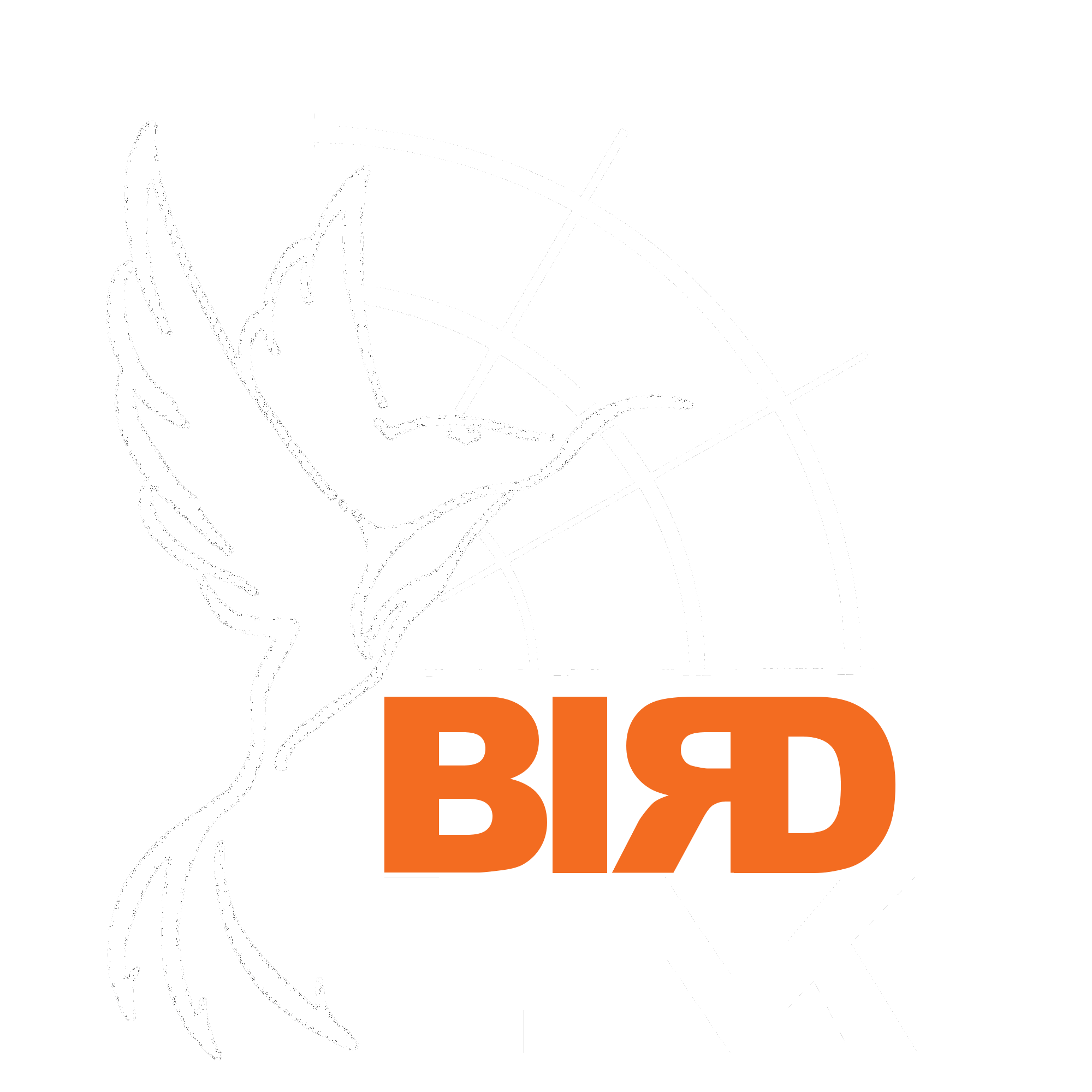 BirdLink AI